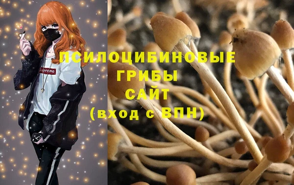 дмт Аркадак
