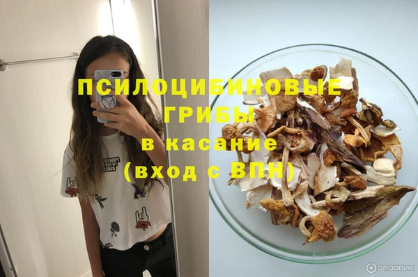 дмт Аркадак