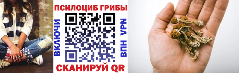 Купить где  Еманжелинск  Псилоцибиновые грибы Psilocybe 